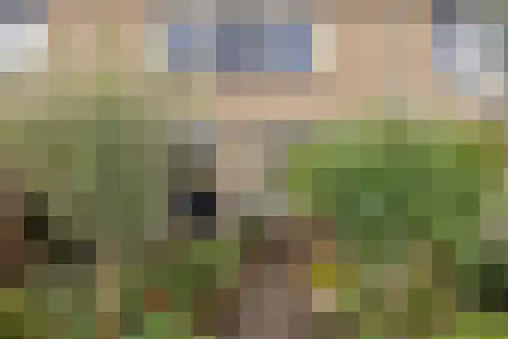 Groenendael 134 IJsselmuiden thumbnail 31