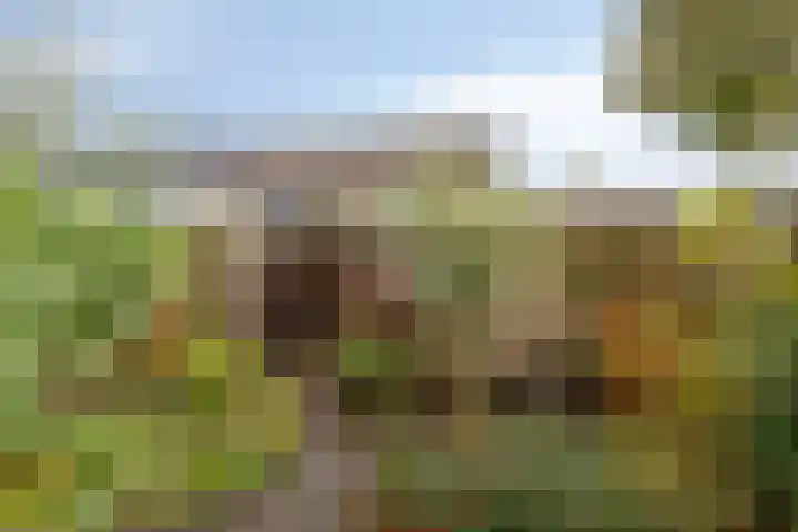 Groenendael 134 IJsselmuiden thumbnail 32