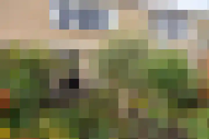 Groenendael 134 IJsselmuiden thumbnail 33