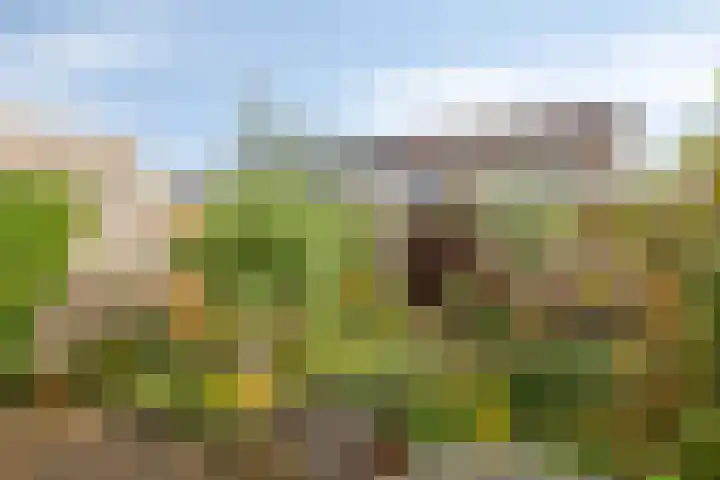 Groenendael 134 IJsselmuiden thumbnail 34