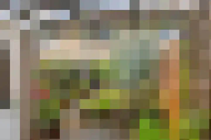 Groenendael 134 IJsselmuiden thumbnail 35