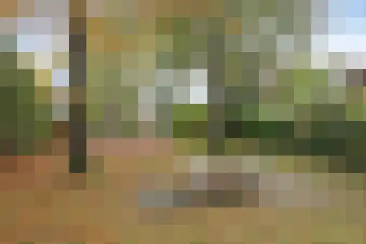 Groenendael 134 IJsselmuiden thumbnail 38