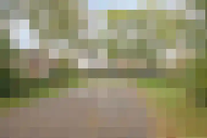 Groenendael 134 IJsselmuiden thumbnail 39