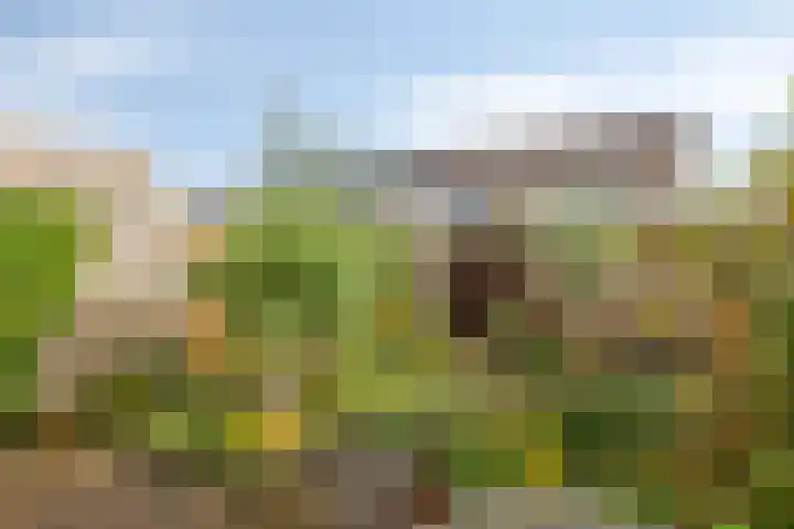Groenendael 134 IJsselmuiden thumbnail 4