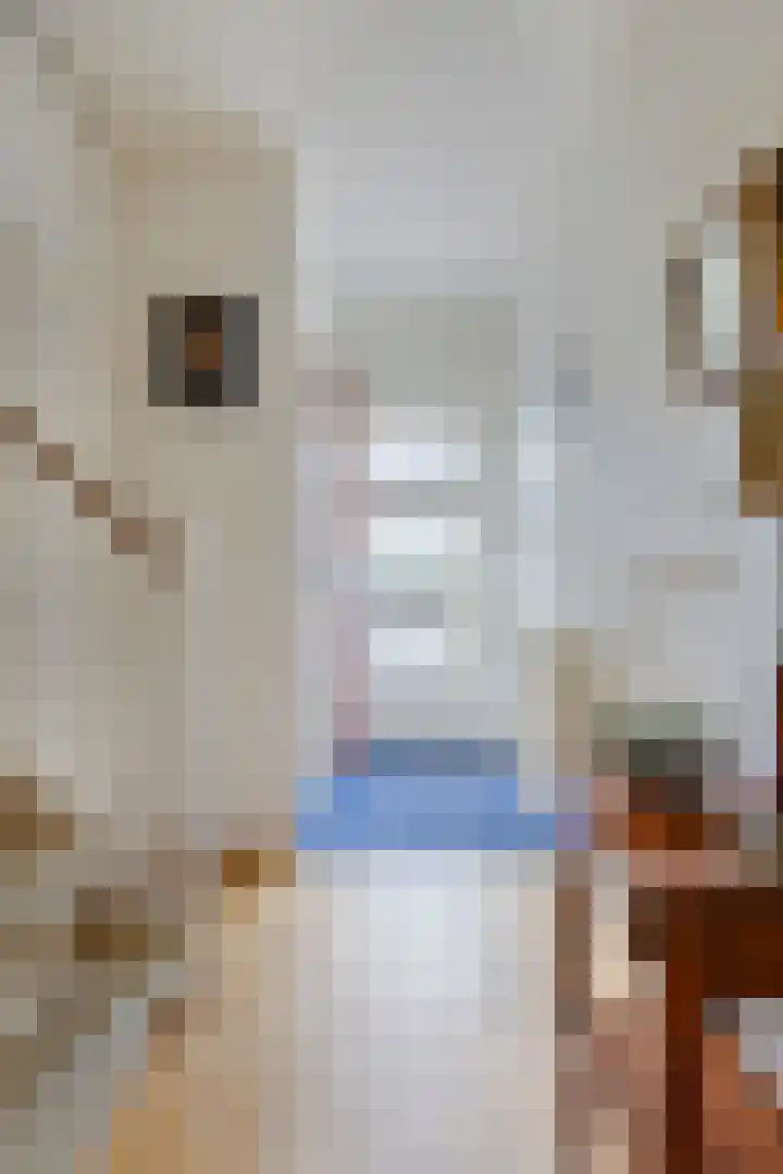 Groenendael 134 IJsselmuiden thumbnail 6