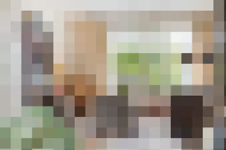 Groenendael 150 IJsselmuiden thumbnail 11