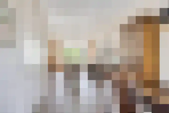 Groenendael 150 IJsselmuiden thumbnail 12