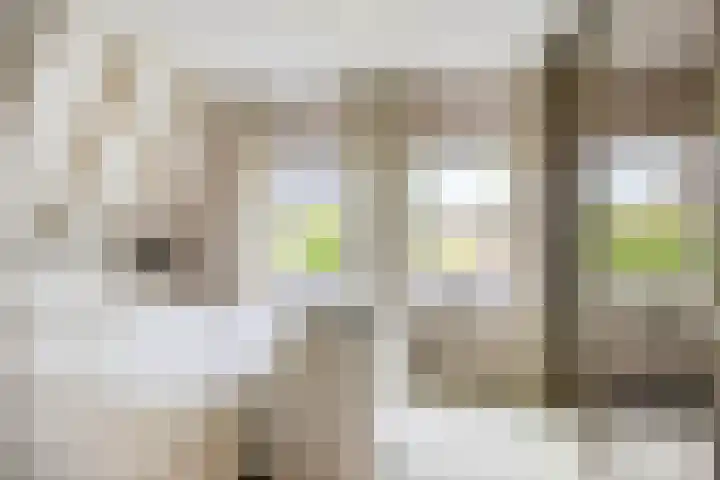 Groenendael 150 IJsselmuiden thumbnail 19