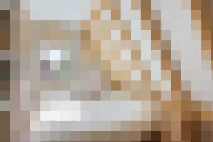 Groenendael 150 IJsselmuiden thumbnail 21
