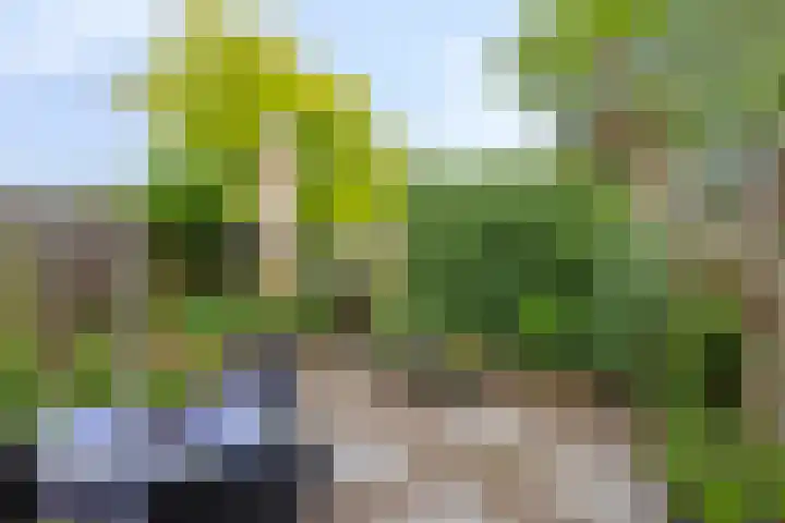 Groenendael 150 IJsselmuiden thumbnail 27