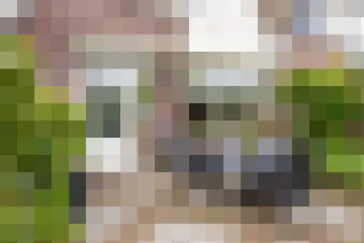 Groenendael 150 IJsselmuiden thumbnail 28