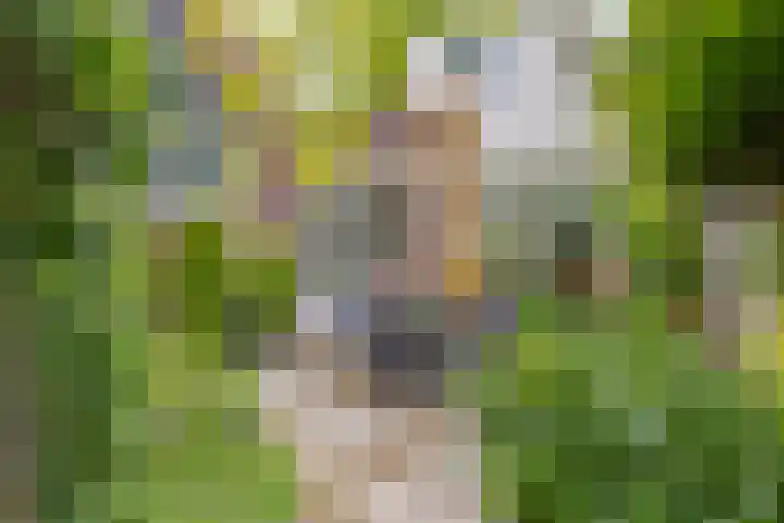 Groenendael 150 IJsselmuiden thumbnail 29