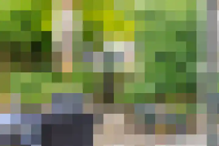 Groenendael 150 IJsselmuiden thumbnail 30
