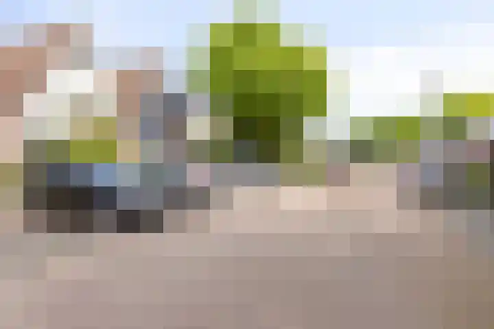 Groenendael 150 IJsselmuiden thumbnail 34