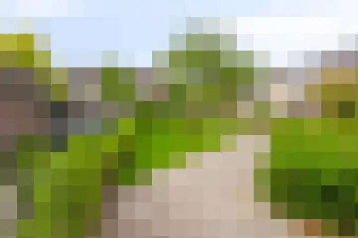 Groenendael 150 IJsselmuiden thumbnail 35