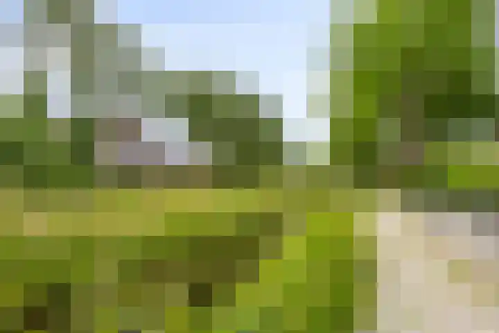 Groenendael 150 IJsselmuiden thumbnail 36