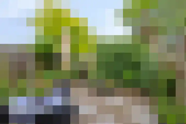 Groenendael 150 IJsselmuiden thumbnail 4