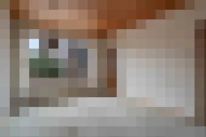 Groenendael 198 IJsselmuiden thumbnail 12