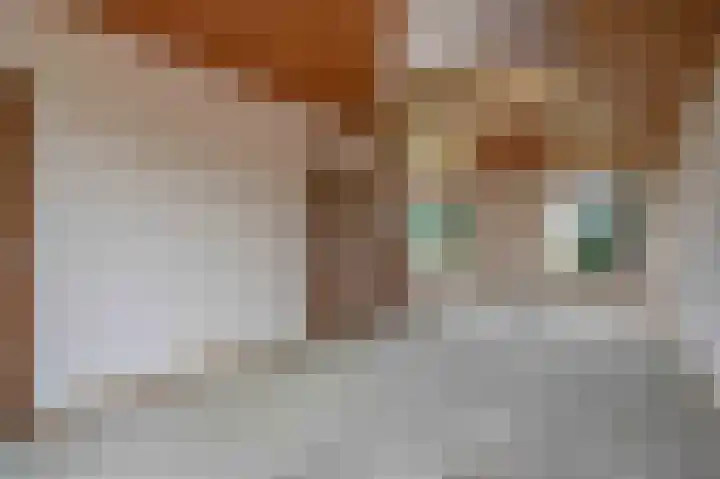 Groenendael 198 IJsselmuiden thumbnail 13