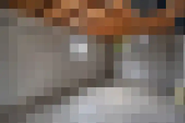 Groenendael 198 IJsselmuiden thumbnail 17