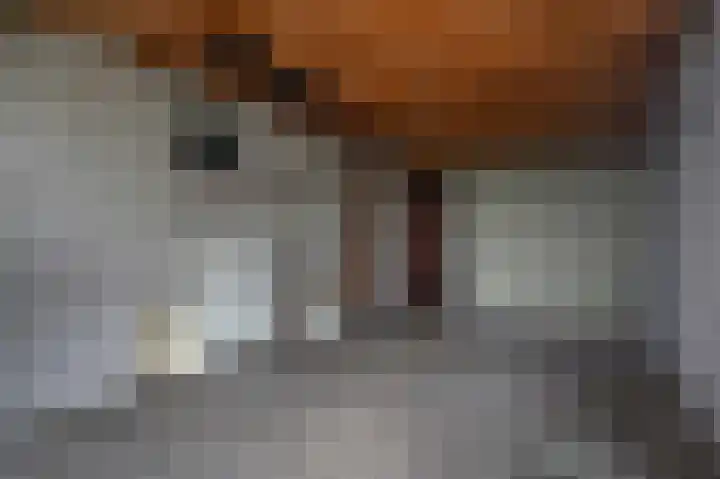 Groenendael 198 IJsselmuiden thumbnail 18