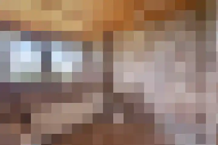 Groenendael 198 IJsselmuiden thumbnail 25