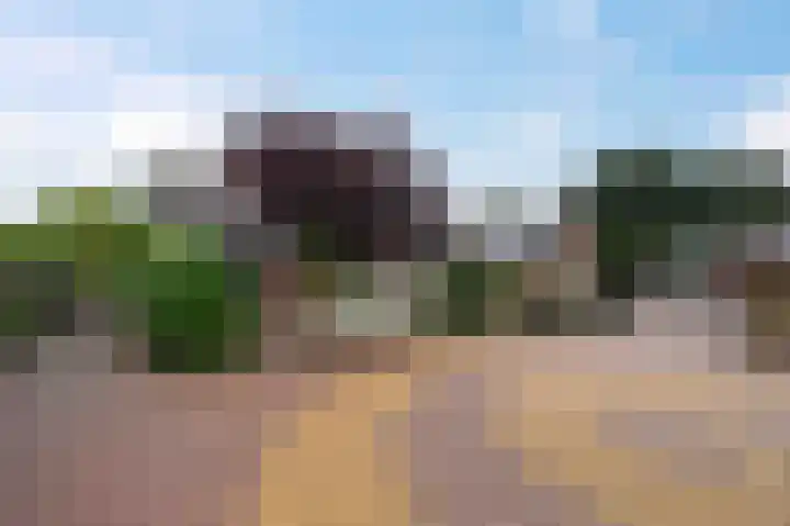 Groenendael 198 IJsselmuiden thumbnail 32
