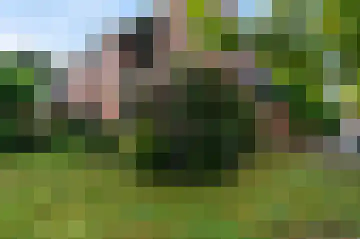 Groenendael 198 IJsselmuiden thumbnail 33