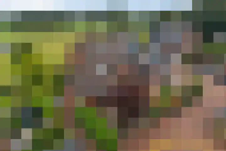 Groenendael 198 IJsselmuiden thumbnail 34