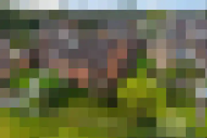 Groenendael 198 IJsselmuiden thumbnail 35