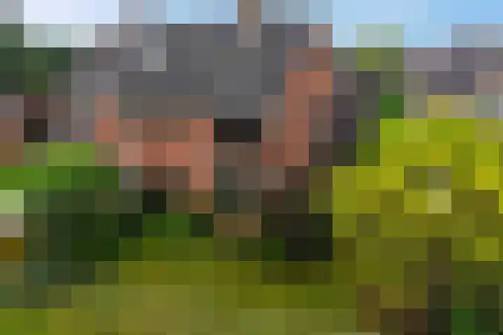 Groenendael 198 IJsselmuiden thumbnail 36