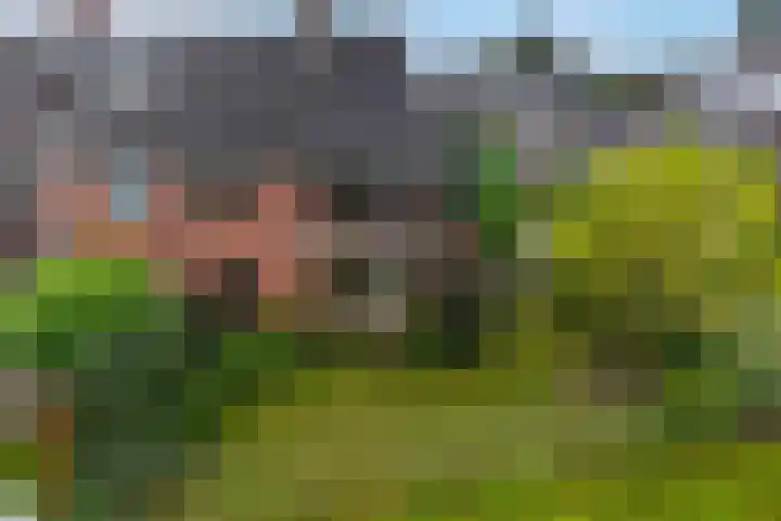 Groenendael 198 IJsselmuiden thumbnail 37