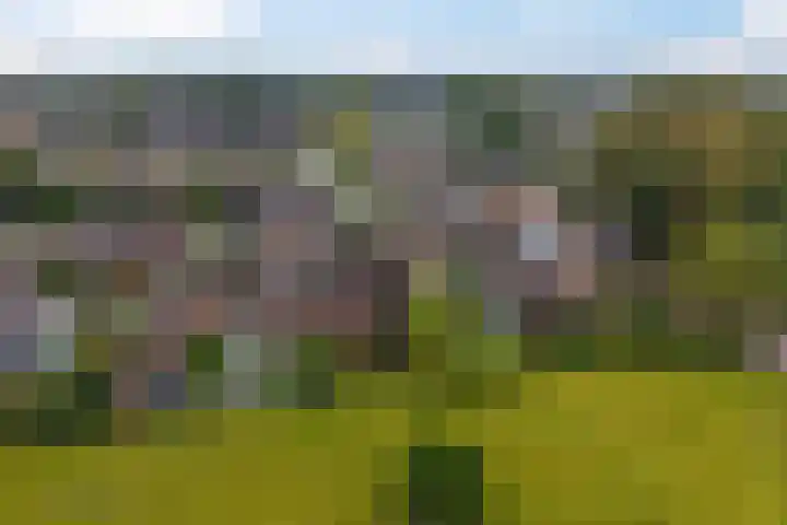 Groenendael 198 IJsselmuiden thumbnail 38