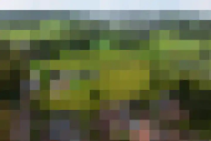 Groenendael 198 IJsselmuiden thumbnail 39