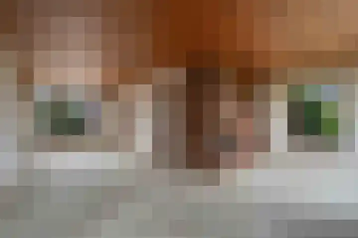 Groenendael 198 IJsselmuiden thumbnail 8