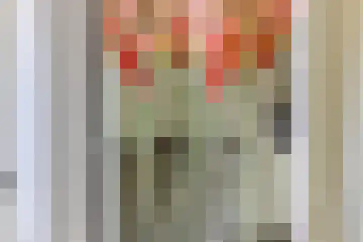 Groenendael 202 IJsselmuiden thumbnail 13