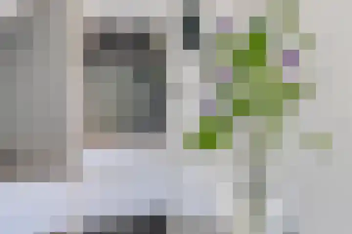 Groenendael 202 IJsselmuiden thumbnail 28