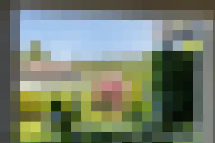 Groenendael 202 IJsselmuiden thumbnail 30