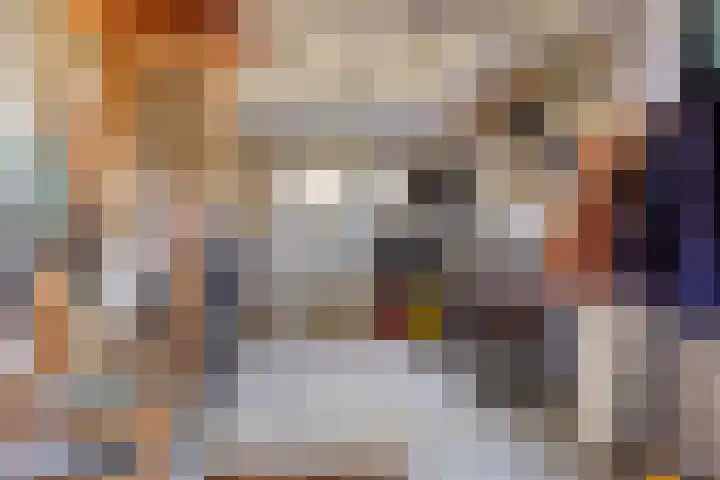 Groenendael 202 IJsselmuiden thumbnail 33