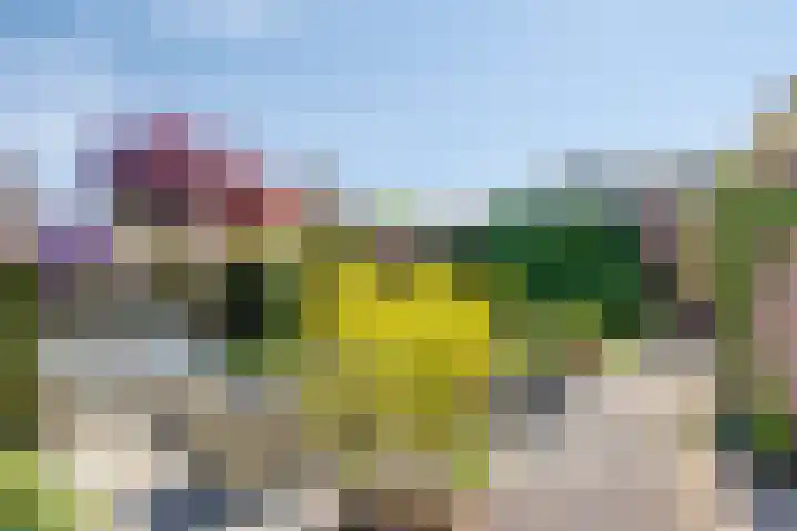 Groenendael 202 IJsselmuiden thumbnail 4