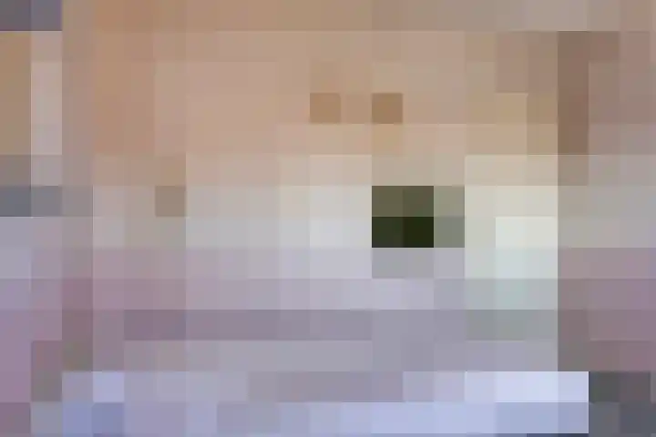 Groenendael 202 IJsselmuiden thumbnail 41
