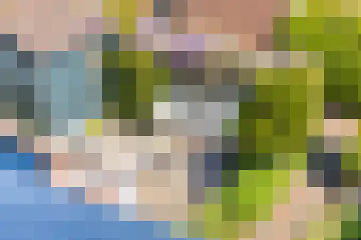 Groenendael 202 IJsselmuiden thumbnail 43