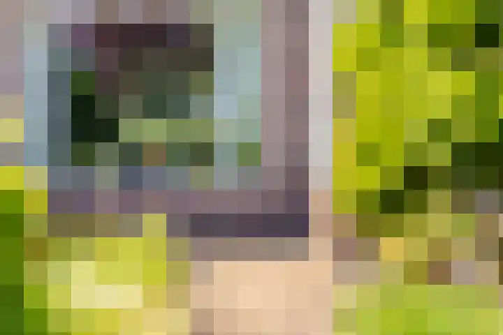 Groenendael 202 IJsselmuiden thumbnail 58