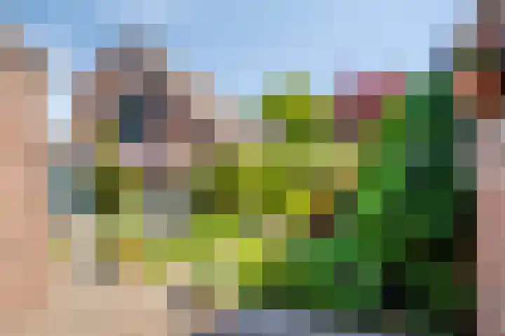 Groenendael 202 IJsselmuiden thumbnail 59