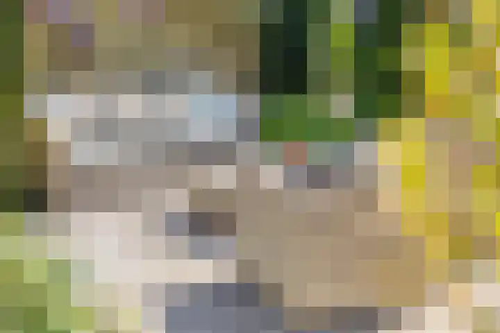 Groenendael 202 IJsselmuiden thumbnail 62