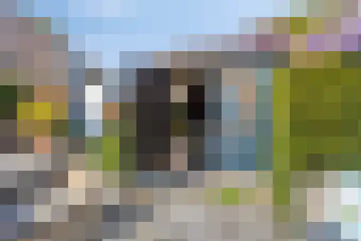 Groenendael 202 IJsselmuiden thumbnail 64