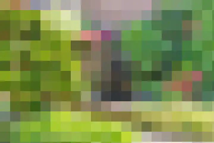Groenendael 202 IJsselmuiden thumbnail 65