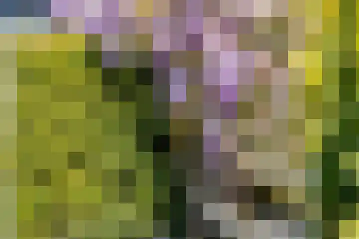 Groenendael 202 IJsselmuiden thumbnail 66