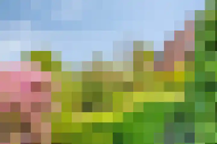Groenendael 202 IJsselmuiden thumbnail 68