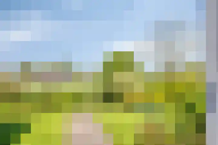 Groenendael 202 IJsselmuiden thumbnail 69